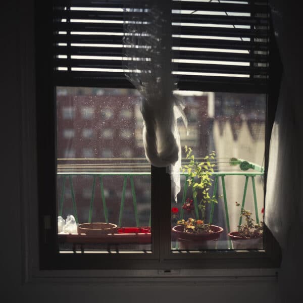 El nudo